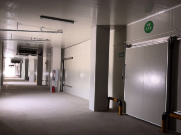 建造200噸的肉類冷鏈冷凍庫如何做好規(guī)劃設計？