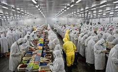 上海電商冷庫建造、運營