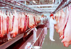 天貓超市電商冷庫建造、運營