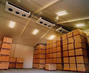 果蔬冷庫香蕉保鮮冷庫工程建造、香蕉保鮮技術(shù)