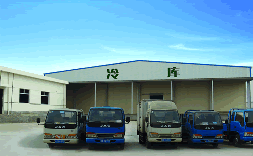 大型冷鏈物流冷藏車，果蔬冷庫安裝設(shè)計·