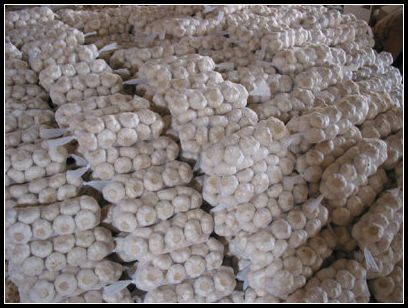 大蒜保鮮冷庫設(shè)計，冷庫安裝要求