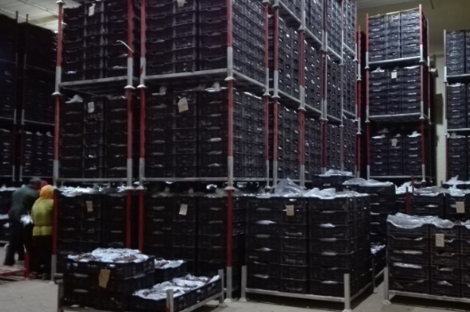 安裝一個(gè)葡萄冷庫(kù)價(jià)格多少錢，葡萄冷藏庫(kù)存儲(chǔ)多久